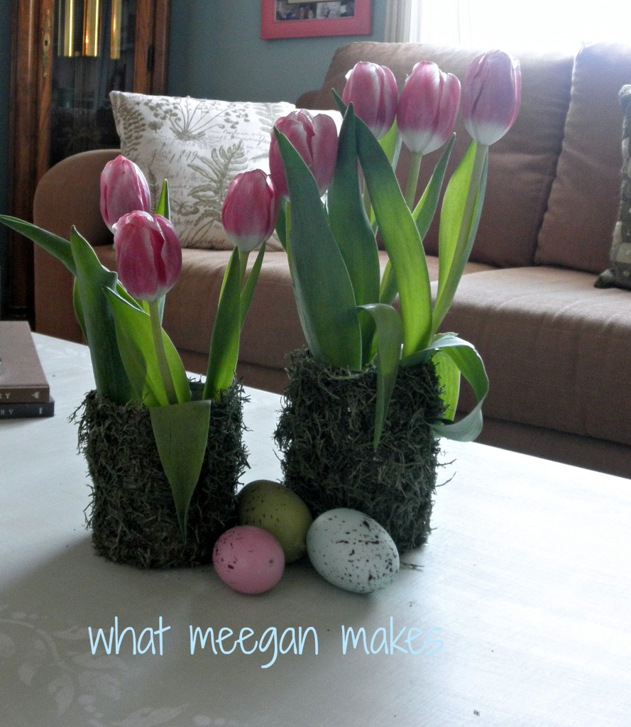 DIY Moss Candle, Candle Holder and Vase ALL for $2