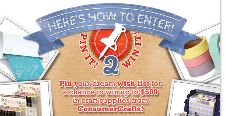Consumer Crafts Pin It To Win It