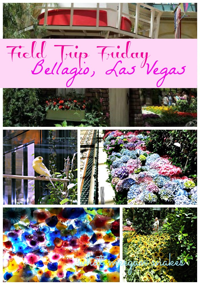 Field Trip Friday-The Bellagio, Las Vegas