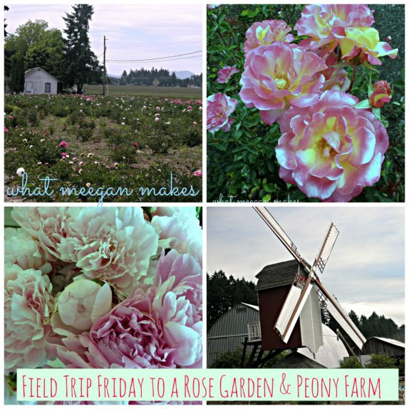 Field Trip FRiday To A Rose Garden & Peony Farm