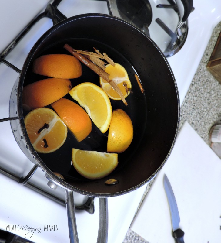 Simmering Citrus SpicePotpourri