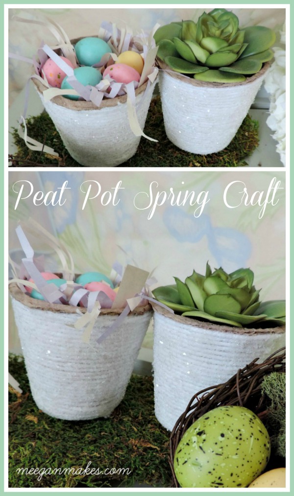 Peat Pot Spring Craft