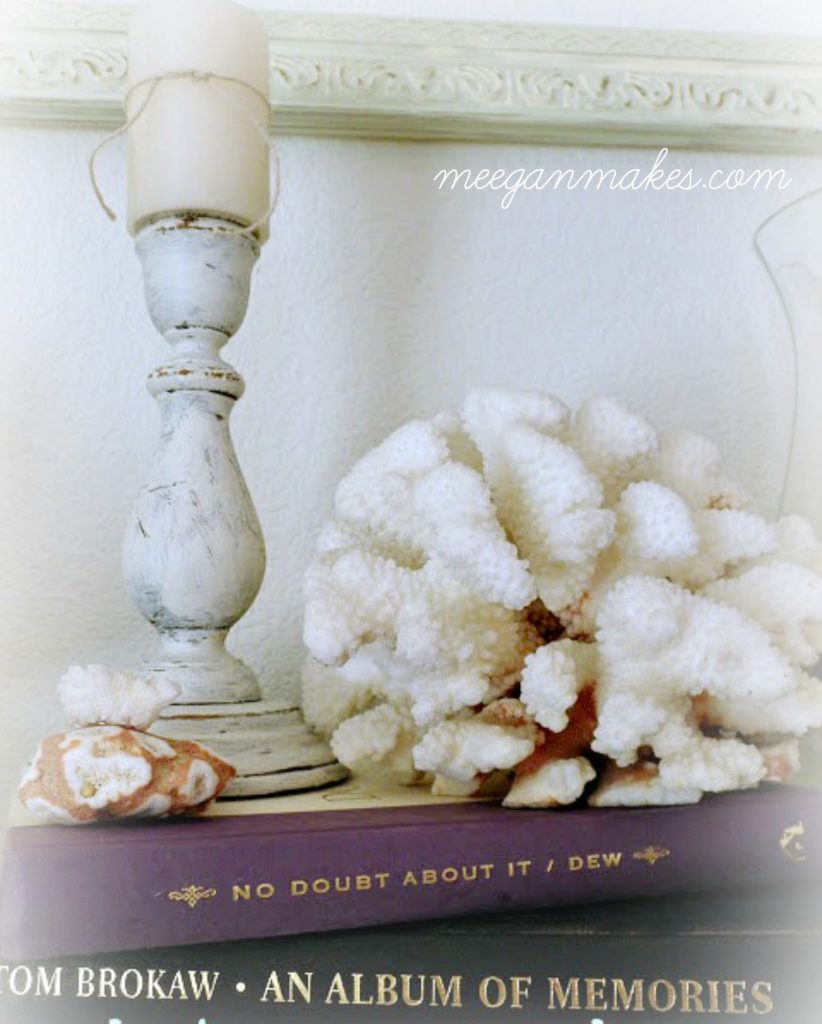 Shells on Stacked Books-perfect!