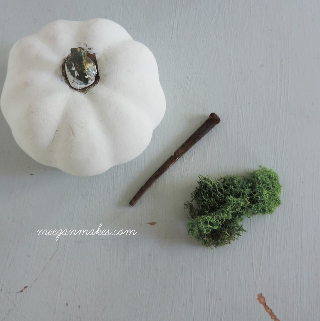 pumpkin-with-rusty-nail-and-moss
