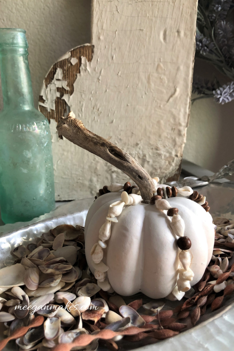 How To Decorate Pumpkins with Sea Shells and Driftwood - What Meegan Makes