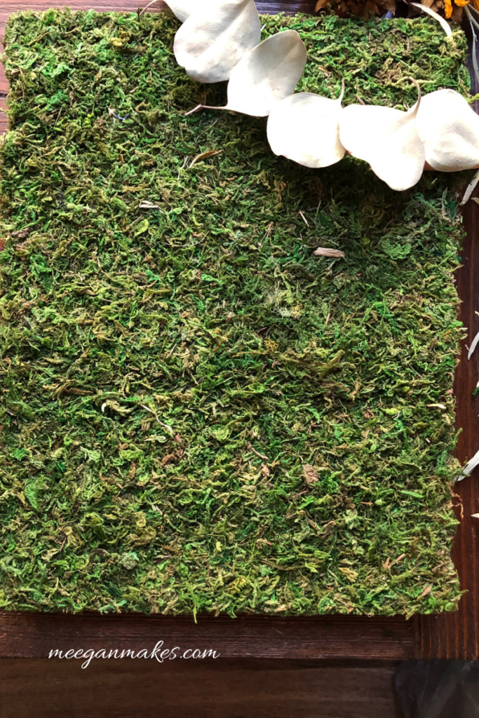 Moss Wall Art Tutorial What Meegan Makes